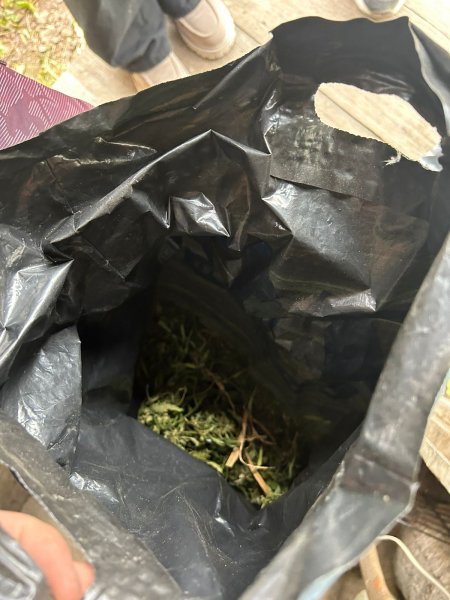 В Бакчарском районе сотрудники полиции задержали подозреваемого в незаконном хранении марихуаны